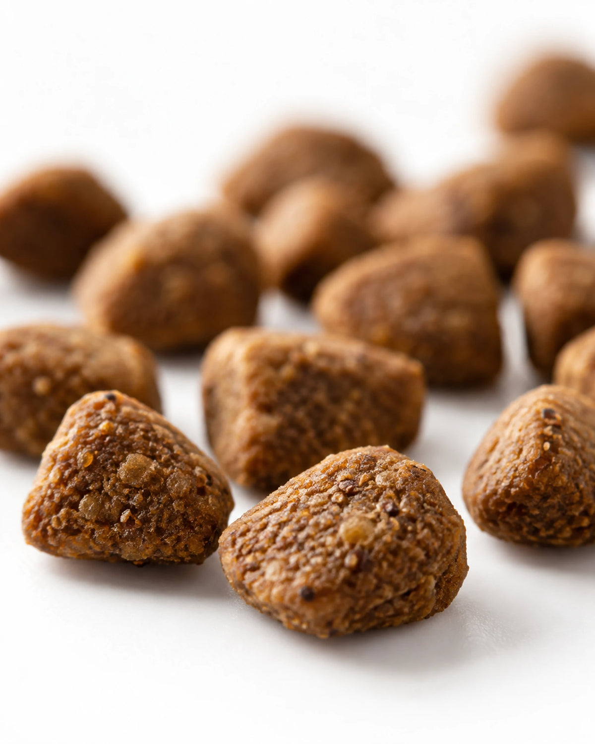 Adult kibble close-up